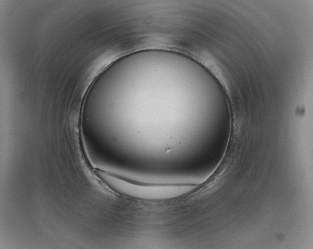 X0000097470954200802221233