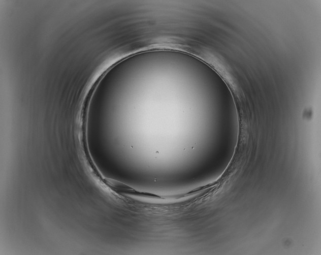X0000097470955200802221233