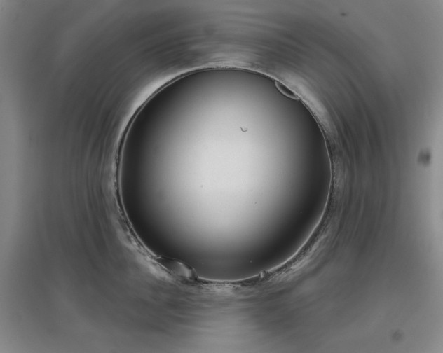 X0000097470956200802221233