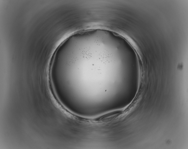 X0000097470957200802221233
