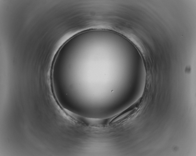 X0000097470959200802221233