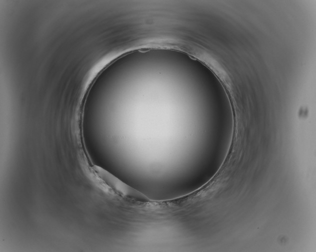 X0000097470960200802221233