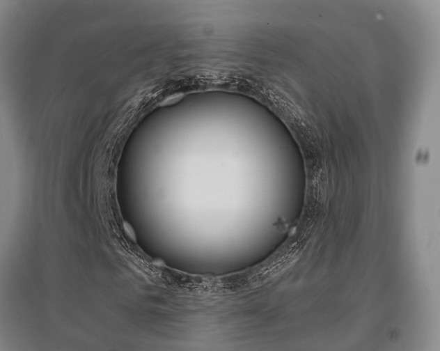 X0000097470961200802221232