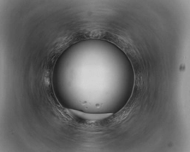 X0000097470962200802221232