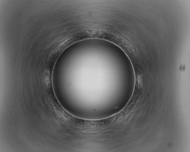 X0000097470963200802221232