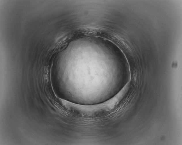 X0000097470964200802221232