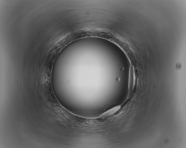 X0000097470966200802221232
