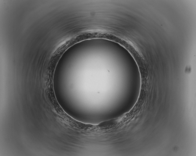 X0000097470967200802221232