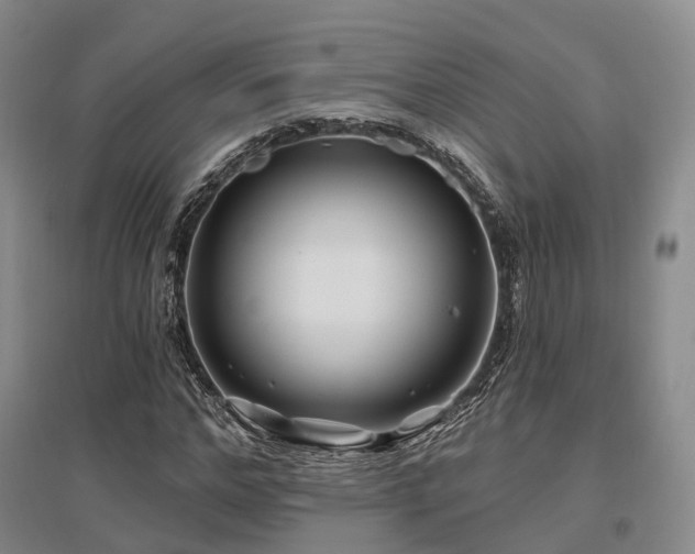 X0000097470968200802221232