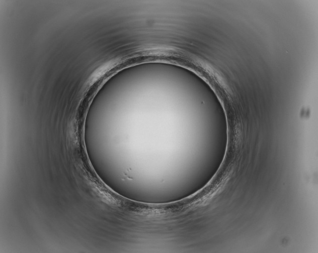X0000097470970200802221232