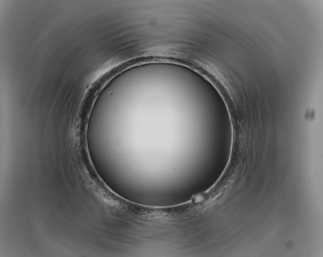 X0000097470971200802221232
