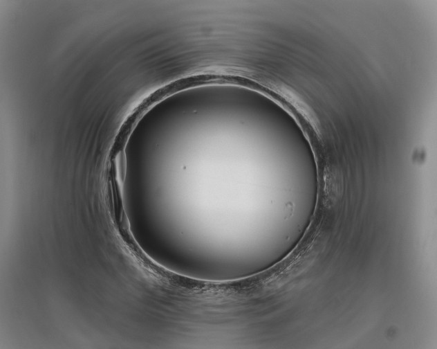 X0000097470972200802221232
