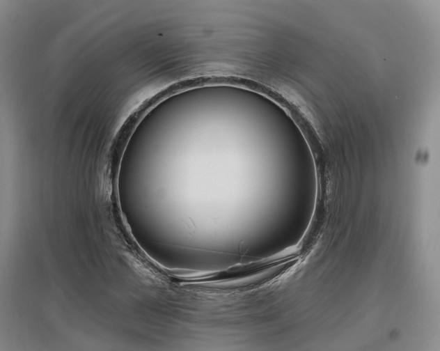 X0000097470973200802221232
