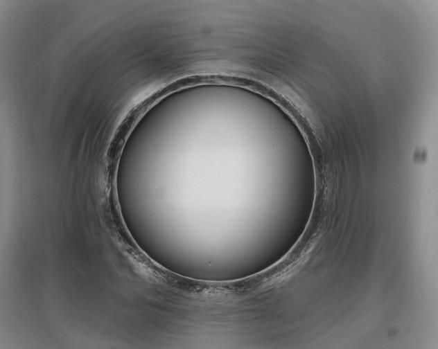 X0000097470974200802221232