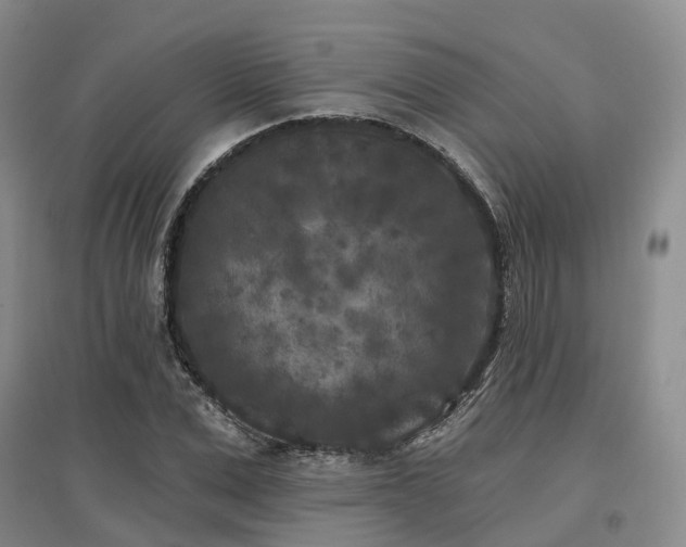 X0000097470975200802221232