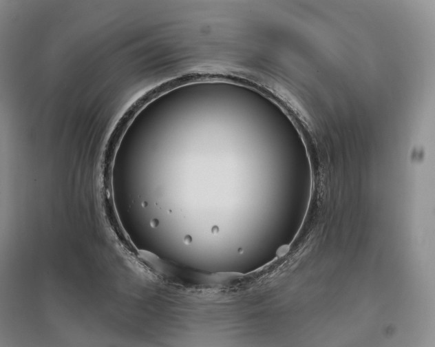 X0000097470976200802221232