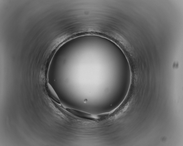 X0000097470977200802221232
