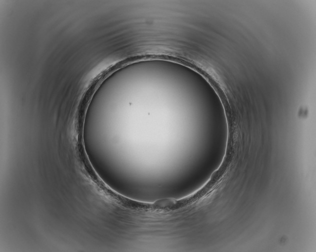 X0000097470979200802221232