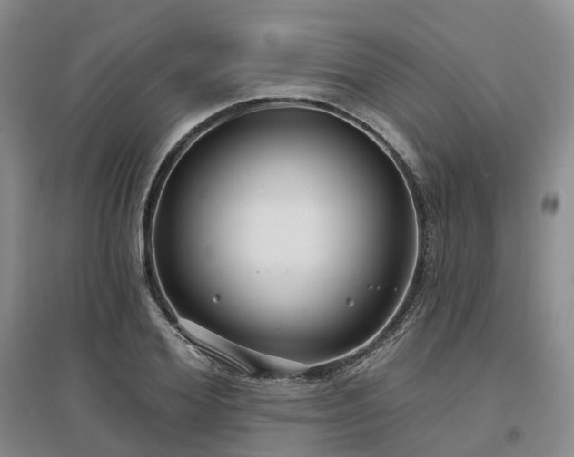 X0000097470980200802221232