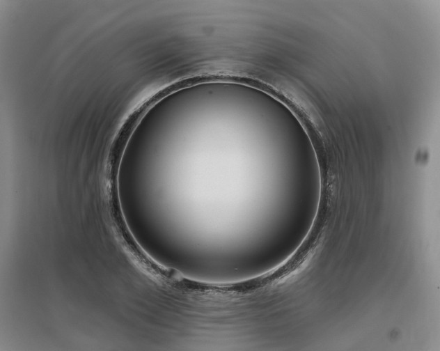 X0000097470981200802221232