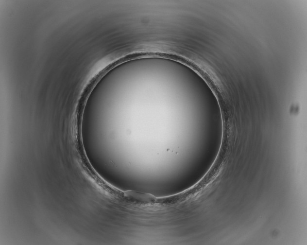 X0000097470982200802221232