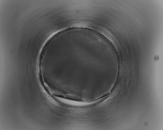 X0000097470984200802221232