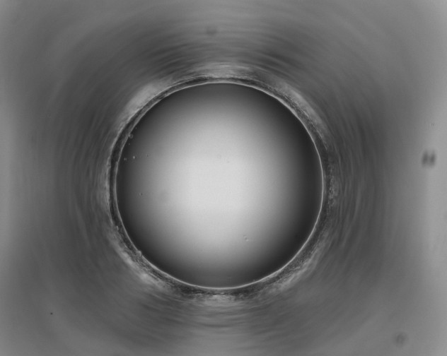 X0000097470986200802221232