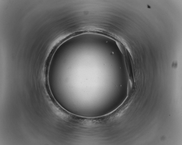 X0000097470987200802221232