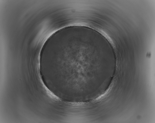 X0000097470988200802221232