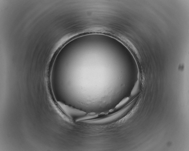 X0000097470989200802221232
