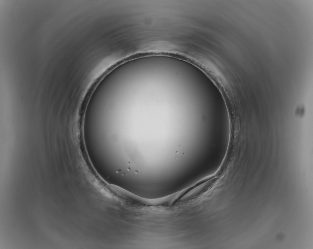 X0000097470990200802221231