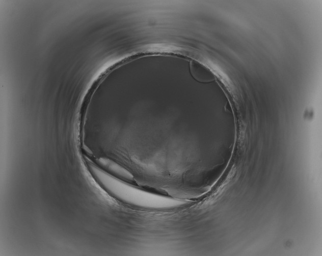 X0000097470992200802221231