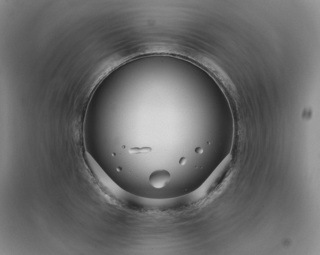 X0000097470993200802221231