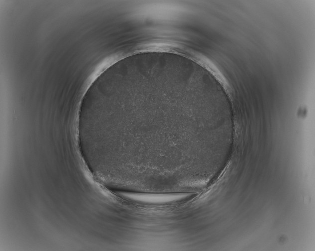 X0000097470994200802221231