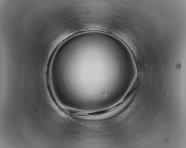 X0000097470995200802221231