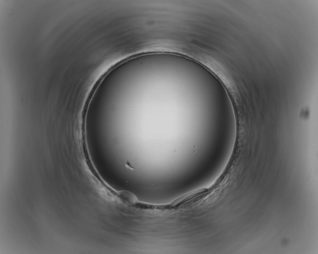 X0000097470996200802221231