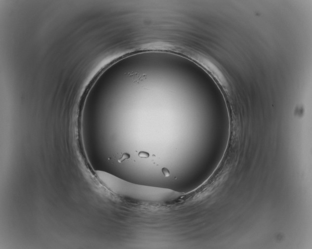 X0000097471000200802221231