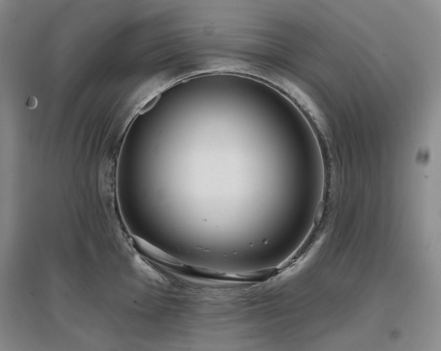 X0000097471001200802221231