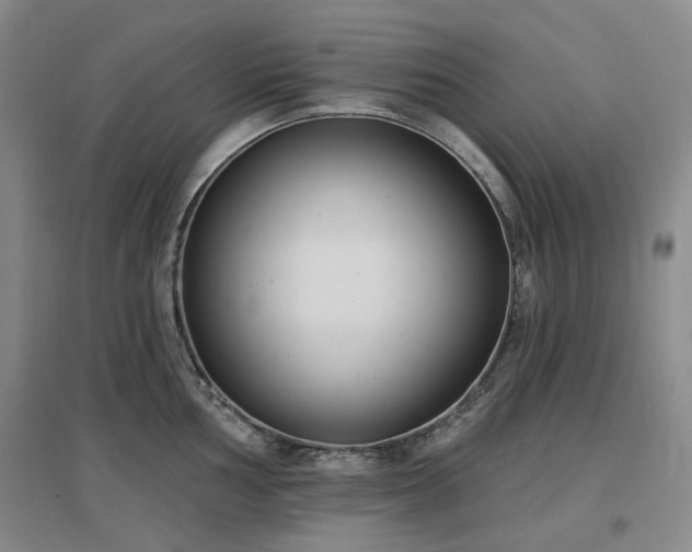 X0000097471002200802221231