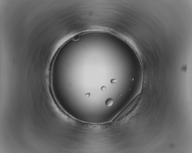 X0000097471003200802221231