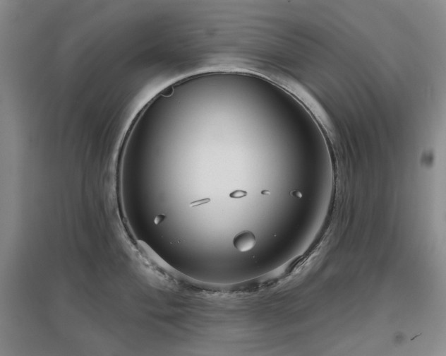 X0000097471004200802221231