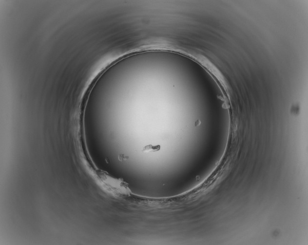 X0000097471005200802221231