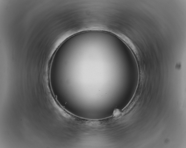 X0000097471006200802221231