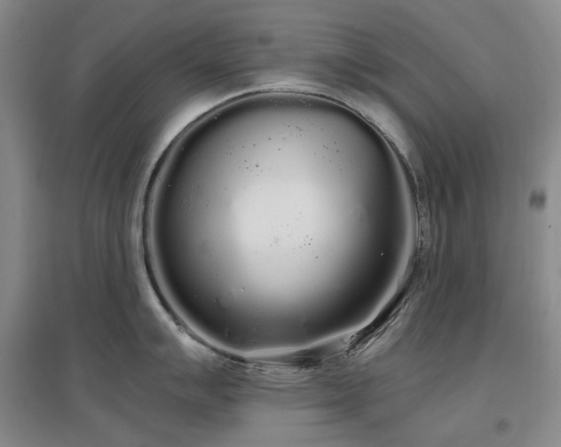 X0000097471007200802221231