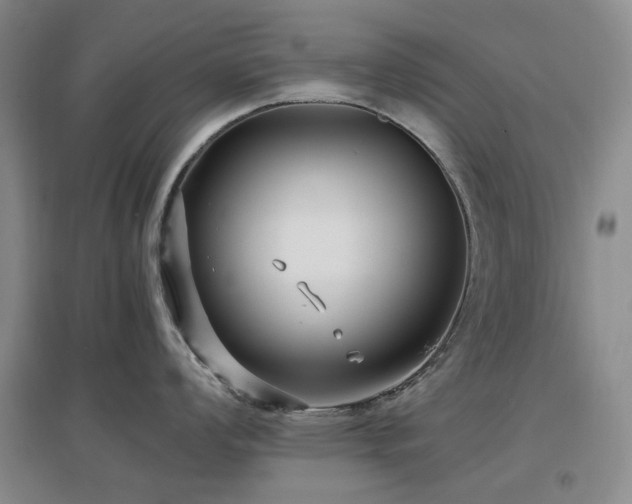 X0000097471008200802221231