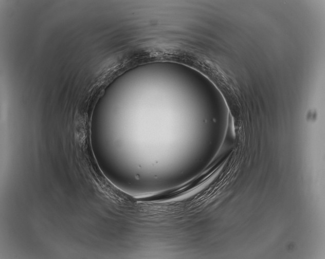 X0000097471012200802221231