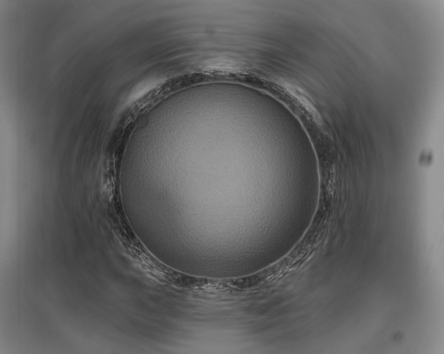X0000097471015200802221231