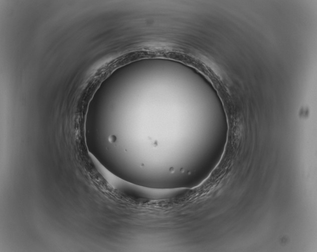 X0000097471016200802221231