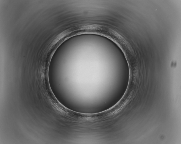 X0000097471017200802221231