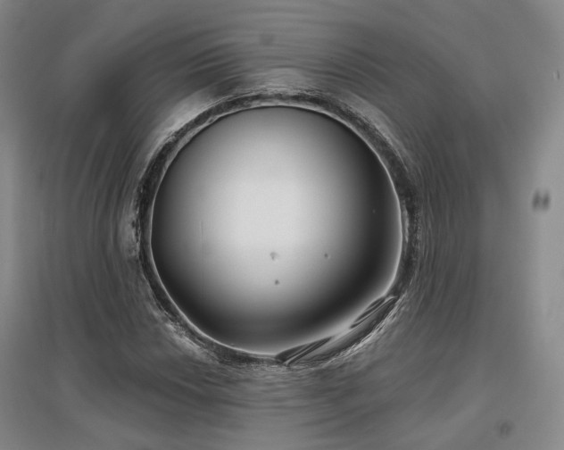 X0000097471018200802221231